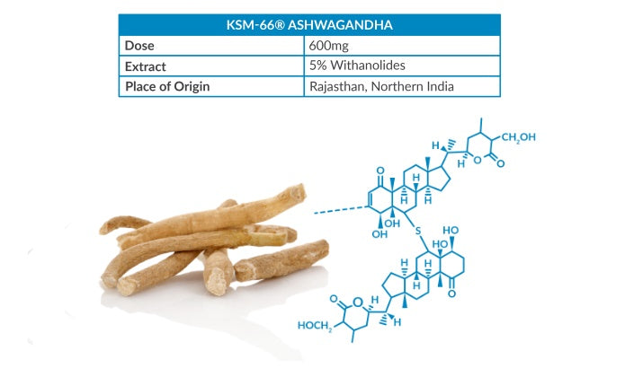 ksm66 ashwaganda